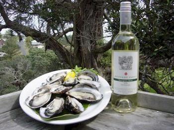 Surfdale Waiheke Island Vineyard Holiday Houses מראה חיצוני תמונה