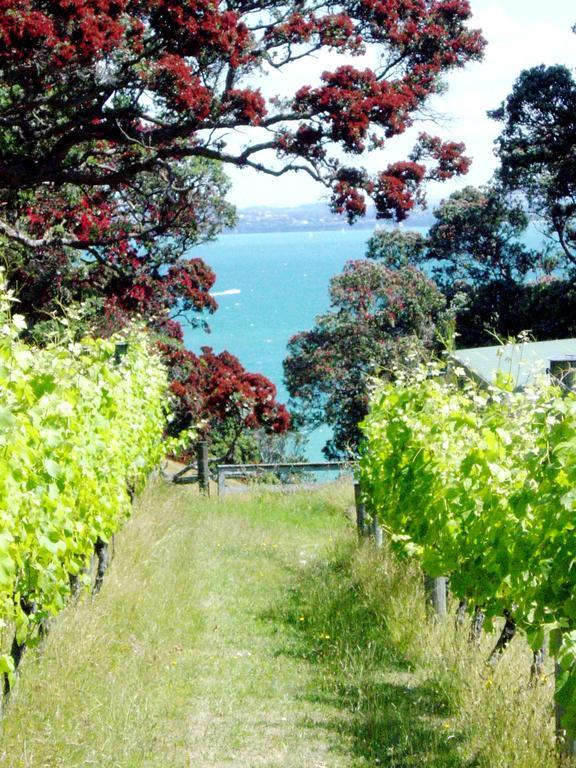 Surfdale Waiheke Island Vineyard Holiday Houses מראה חיצוני תמונה